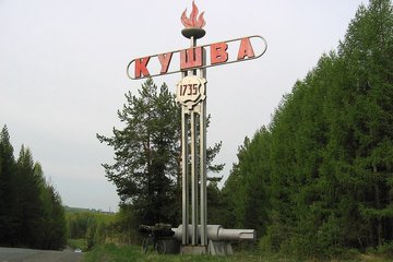 Рыба гибнет под городом Кушва