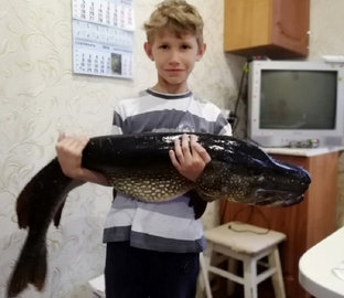 Девятилетний рыболов сам поймал щуку в 10 кг