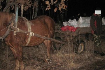 Белорусские пограничники задержали контрабандистов с салом