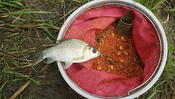 Самые эффективные прикормок для рыб